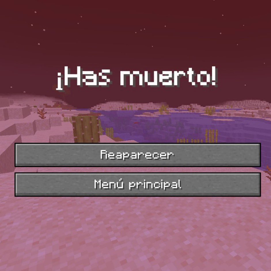 Tu ultima foto es lo que hizo que te mueras en Minecraft