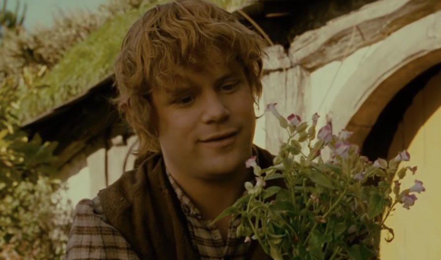 myelessar's tweet image. samwise gamgee? a loser? in modern society? he’s quite literally the ideal man