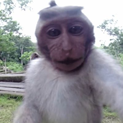 unicornuzi's tweet photo. #NewProfilePic https://t.co/PNVvDwy3rq