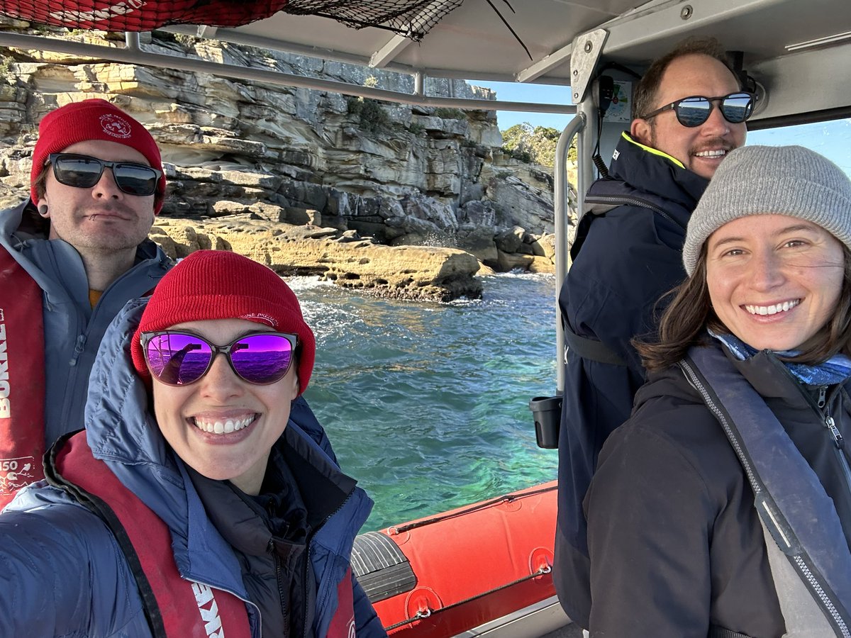 Wildsydharbour's tweet image. There’s five of us in this photo… can you spot the #furseal? 

Sydney Harbour is home to a variety of #marinelife. In addition to researching where these marine mammals can be found, we want to know what you think about them. Let’s us know: limesurvey.mq.edu.au/index.php/9424… 

@MPRG_MQ