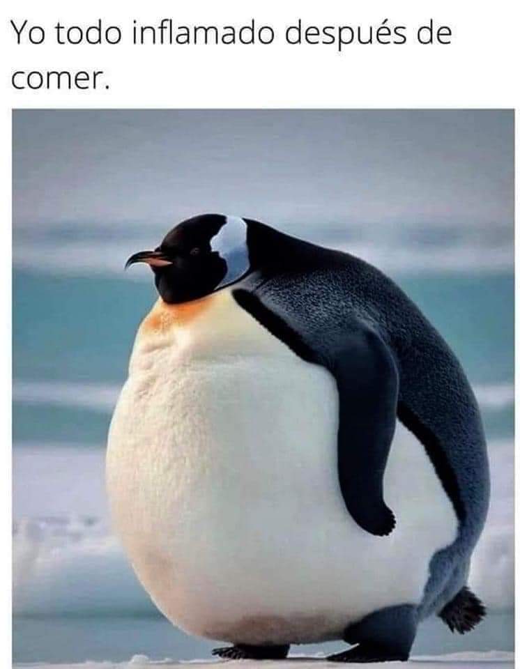 Elsa_N_S's tweet image. Mi vida en un meme 
#Joder