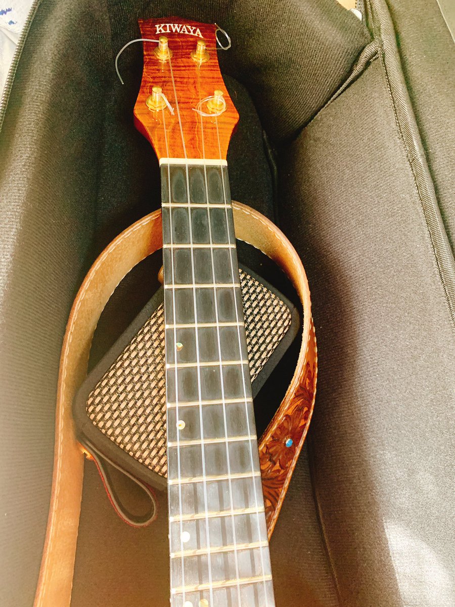 4stringsdiner's tweet image. 『いつでも　どこへでも　気軽に持っていける』
というウクレレの特性にぴったりハマるアンプはこちら→ #SparkGO

今後お出掛けの時は、とりあえずケースに放り込んじゃうなぁ😁