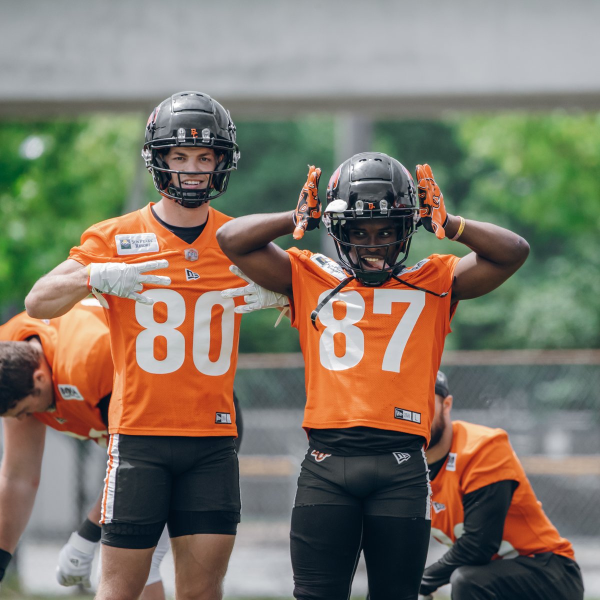 T-Minus 2 days... 😄

#BCLions #RoarLikeneverBefore