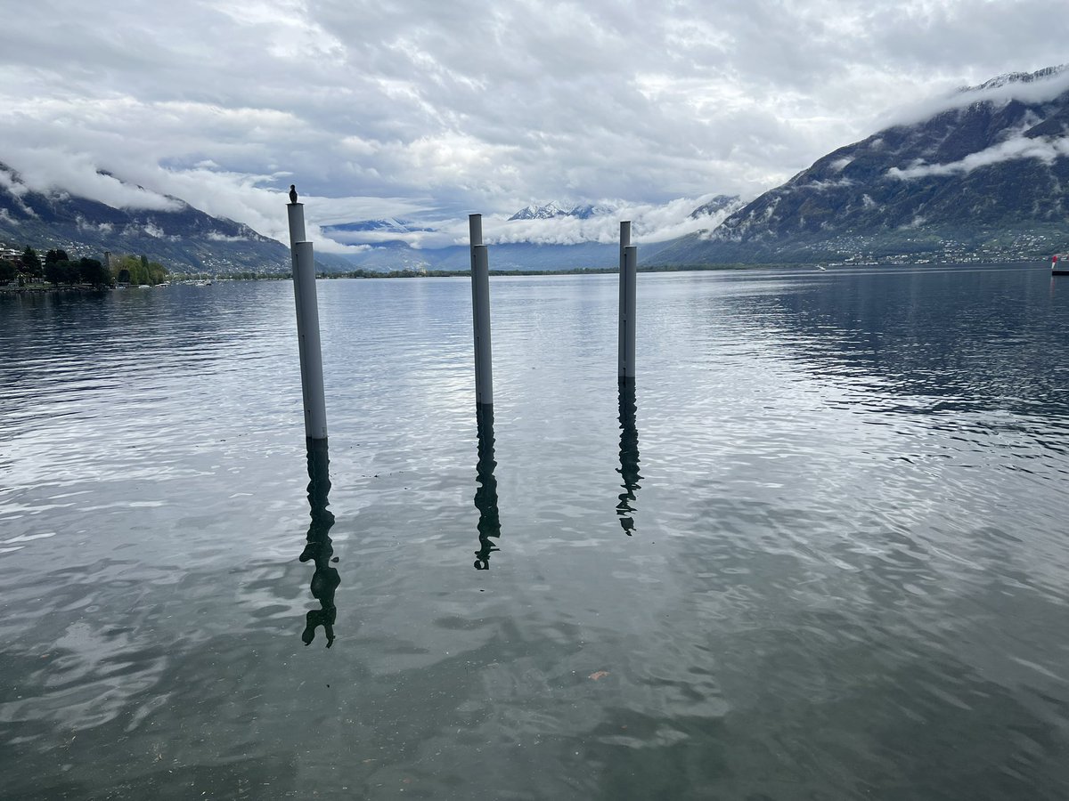 lewessmith's tweet photo. @MySwitzerland_e Locarno April 2023 including Cormorant! https://t.co/WvAyVYieQq