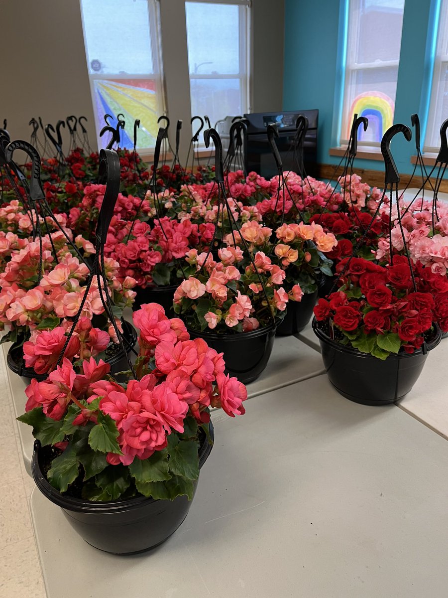 bmc_centre's tweet photo. Flowers, flowers everywhere 🌸🌺💐Using our Tidy Neighborhoods Grant from @NLHousing to provide beautiful local flower baskets/ bags to community members! #CommunityPride  #CommunityBeautification https://t.co/mhxaG4iWW6