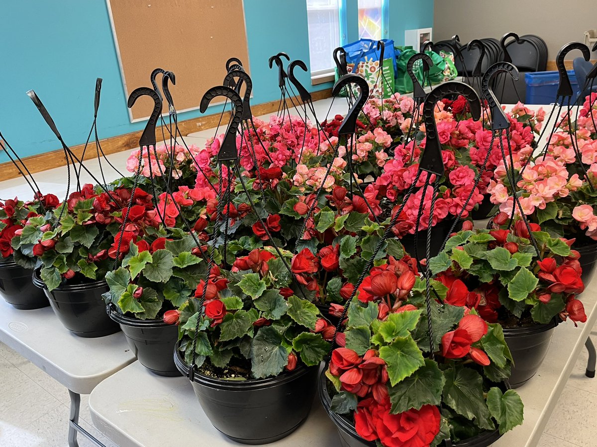 bmc_centre's tweet photo. Flowers, flowers everywhere 🌸🌺💐Using our Tidy Neighborhoods Grant from @NLHousing to provide beautiful local flower baskets/ bags to community members! #CommunityPride  #CommunityBeautification https://t.co/mhxaG4iWW6