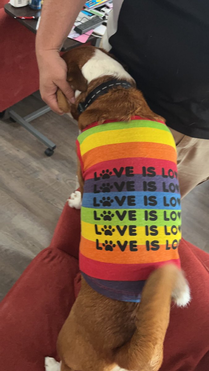 ARMY_MoM97's tweet photo. My daughter bought him a new shirt 💜 #Pride2023 #rainbow #PrideMonth #pridedog https://t.co/a5Fk95iLMN