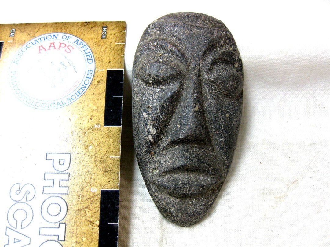 indiana9fossils's tweet image. Stegodon Bone-Tusk Carving #13
$35.00
To learn information go to 
prehistoricfossils.com/product/stegod…

#carvings #stegodon #bone #bones #stegodonbones #fyp #carving #bonetusk #tusk #Pliocene #fyp #PrehistoricFossils #branson #mo #Indiana9Fossils #gifts