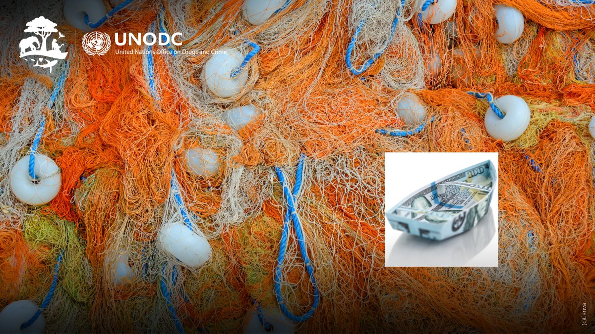 ➡️Corrupción
➡️Fraude documental
➡️Pesca ilegal
➡️Trata de personas

El sector pesquero es vulnerable a una serie de delitos. 

UNODC apoya a los Estados miembros en la lucha contra las actividades ilegales en el sector pesquero.

#crimesinfisheries