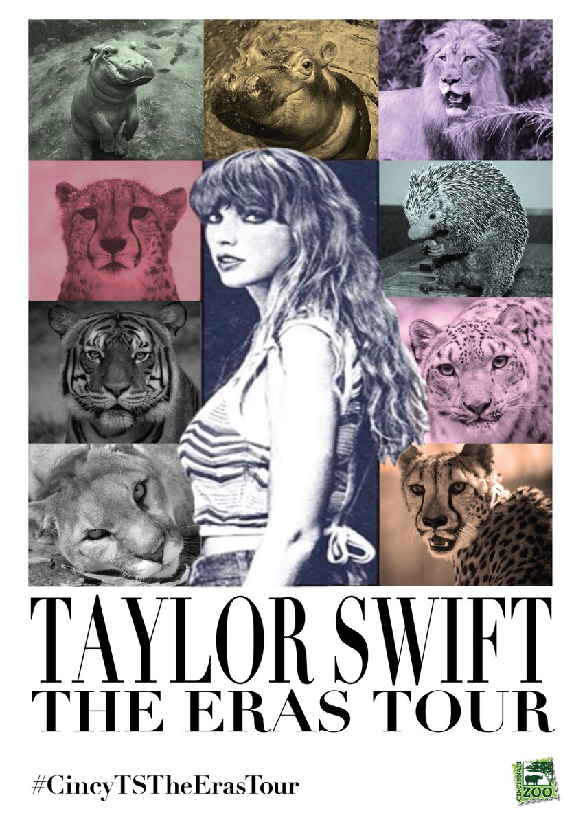 CincinnatiZoo's tweet image. Drop everything now! The CincinnaTay Zoo is celebrating @taylorswift13 coming to #Cincinnati! The Zoo is offering $13 admission June 29-July 2 for fans that wear their best Taylor Swift gear or show their concert tickets at the gate. ow.ly/P4zt50OPukX #CincyTSTheErasTour
