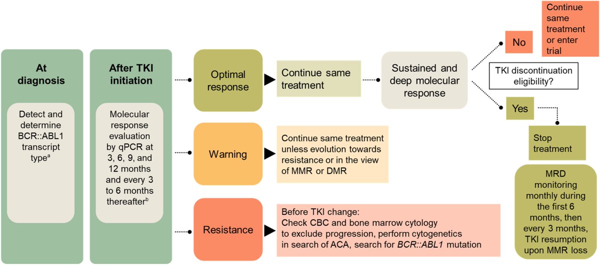 Incorporation of MRD quantification in standard care for #CML #leusm ascopubs.org/doi/full/10.12…