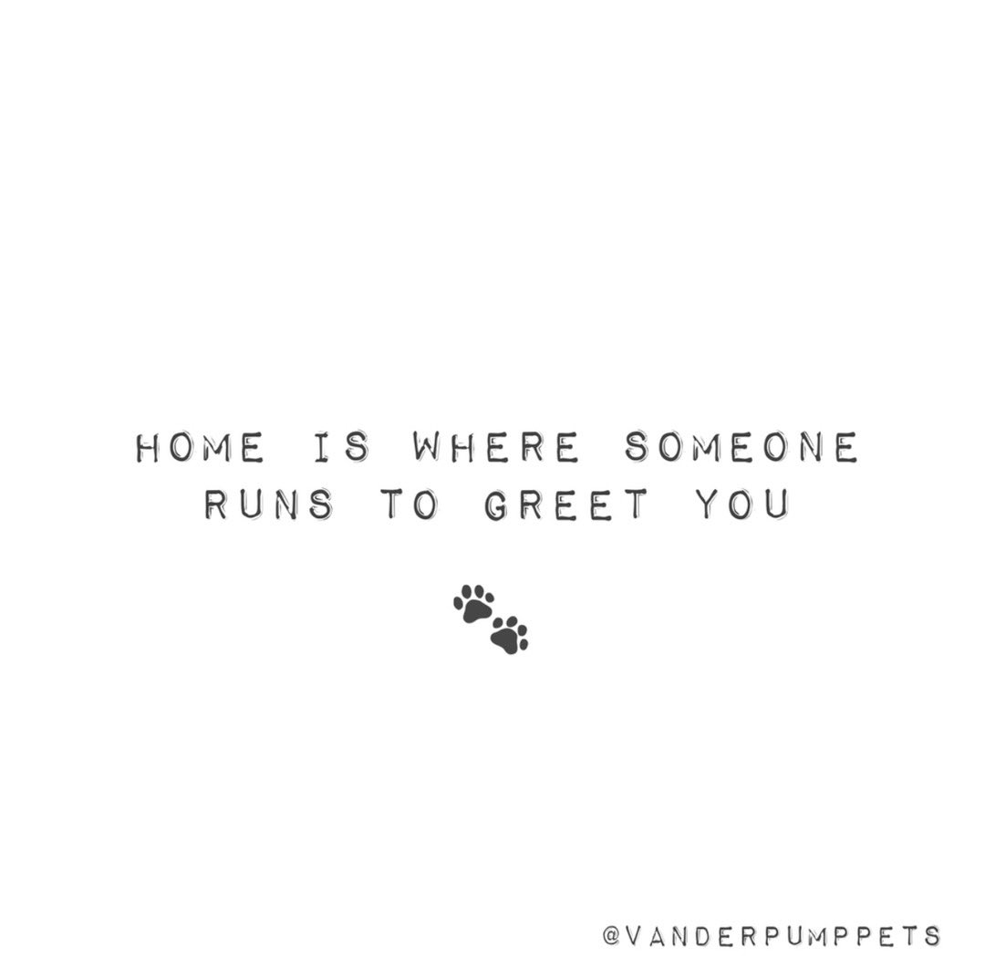 And gives lots of wet kisses! 🏡🐶💕