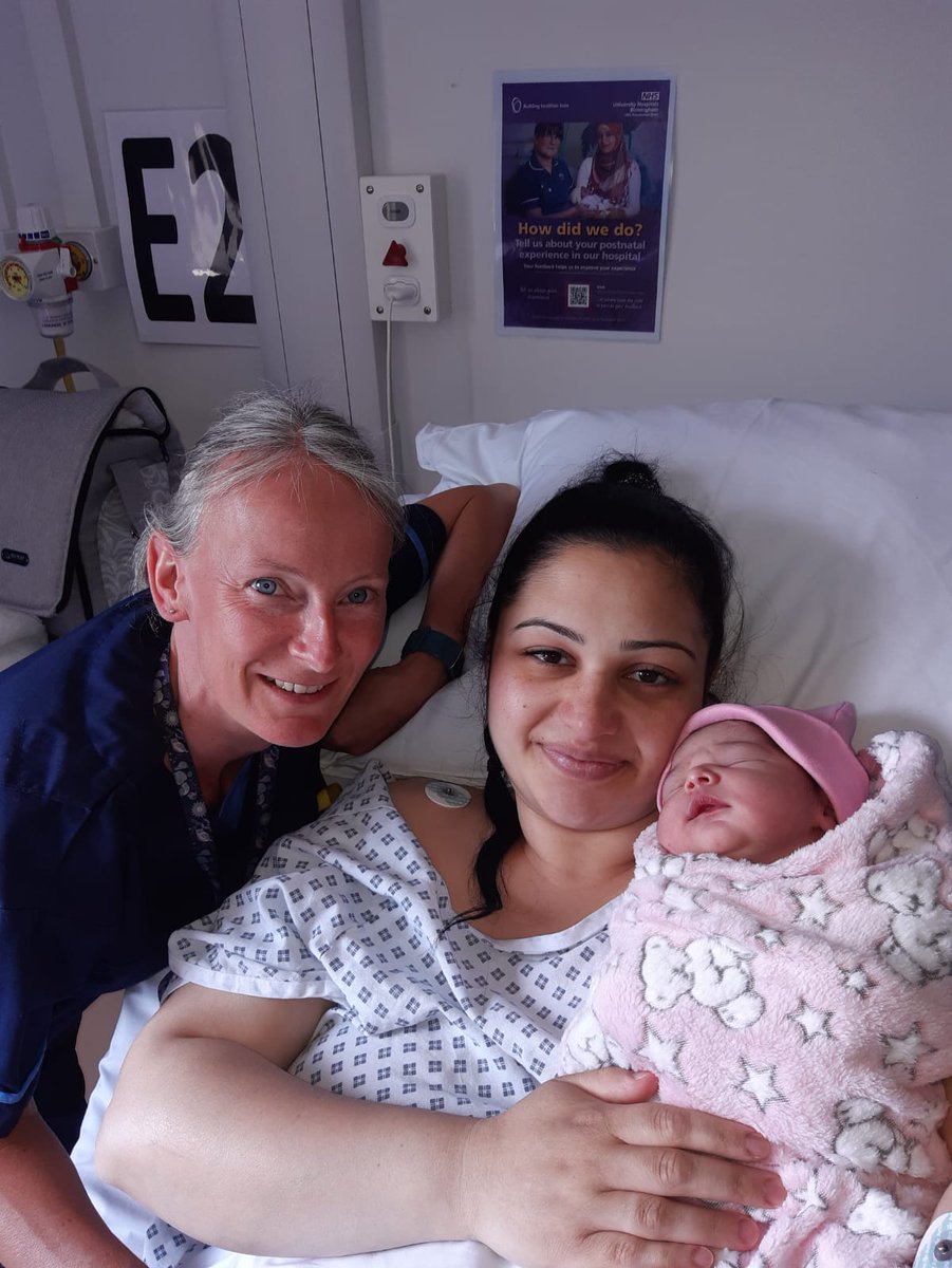 Danielle Carey tweet media