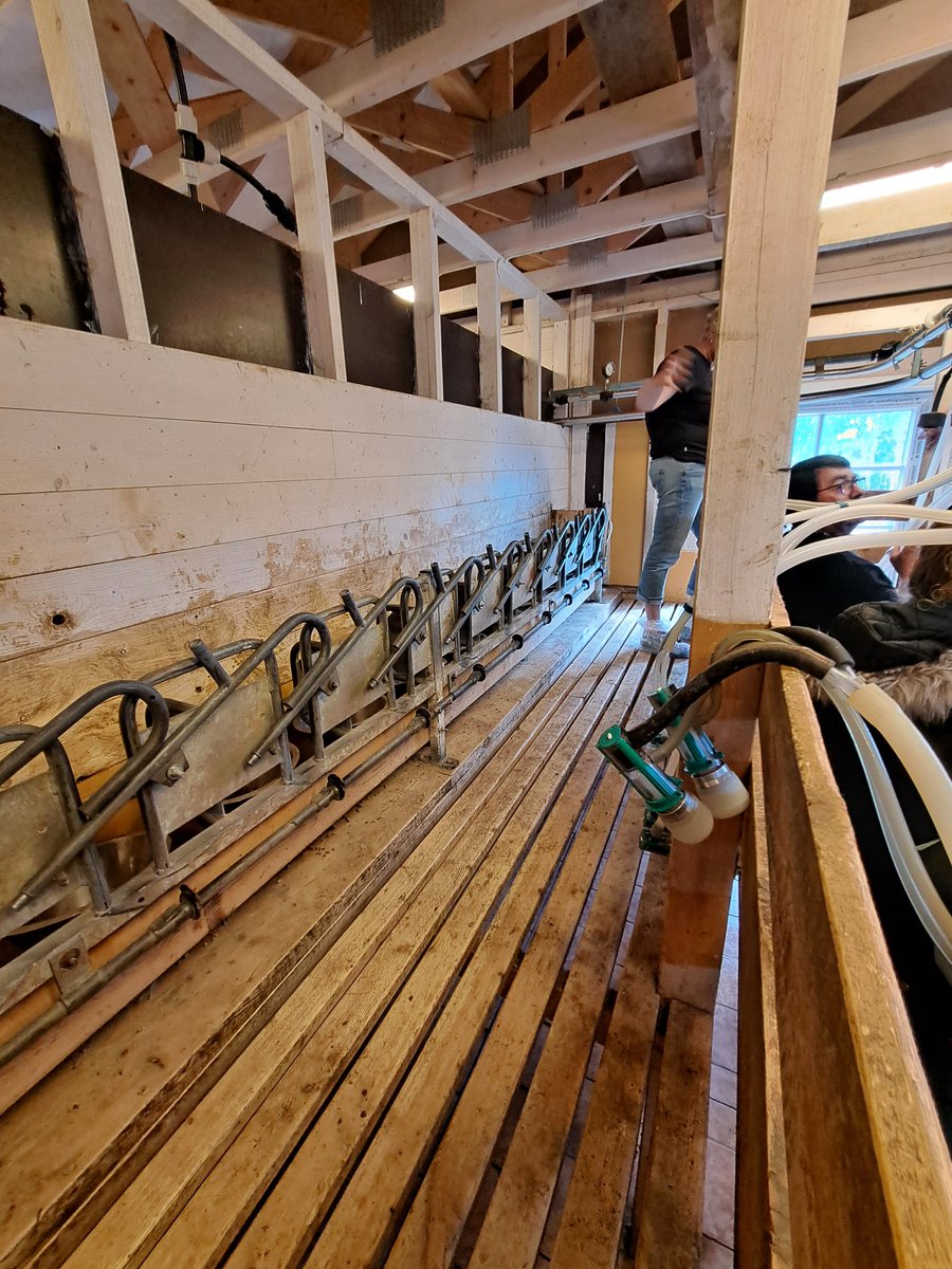 Bríd McClearn tweet media