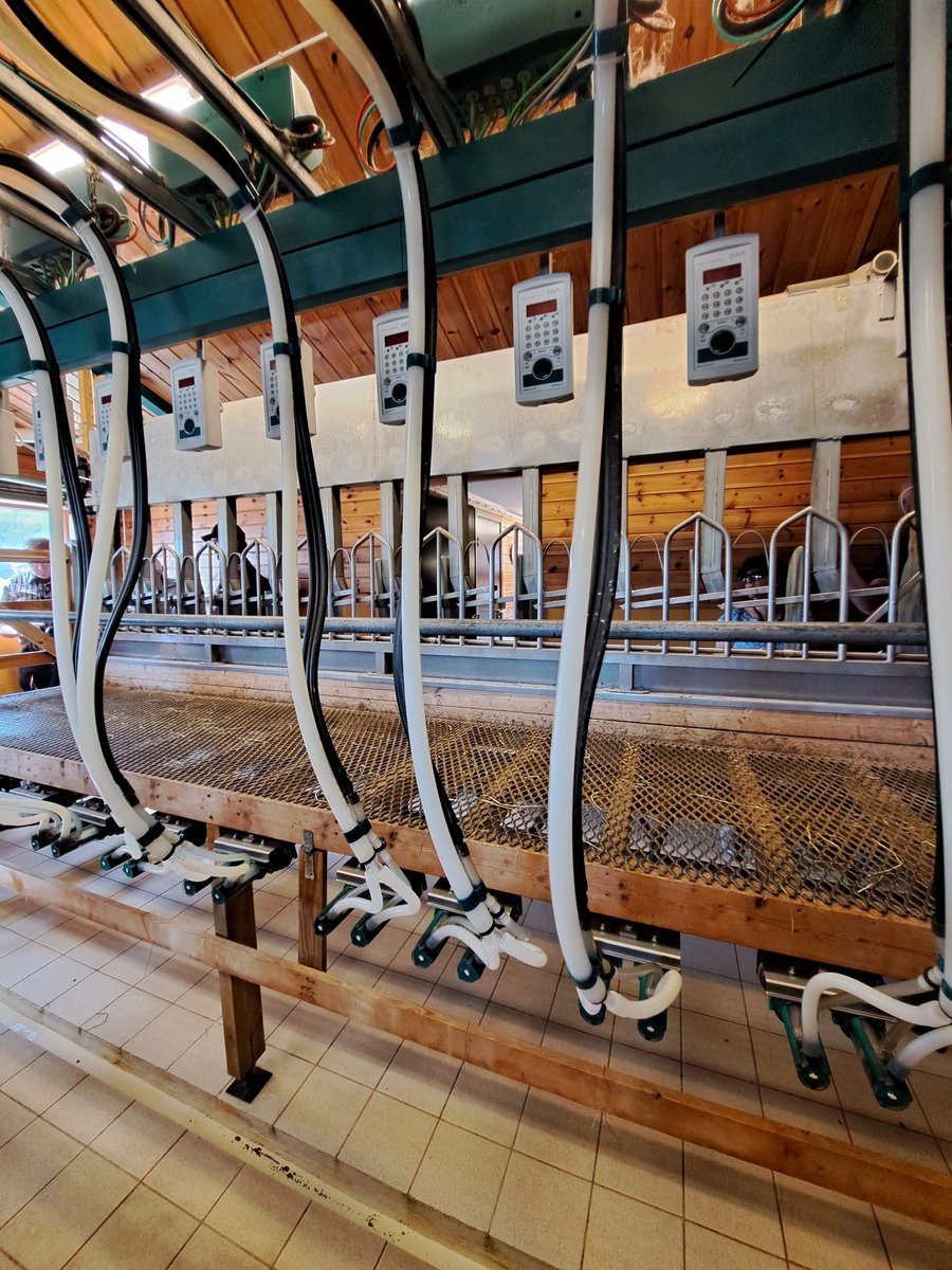 Bríd McClearn tweet media