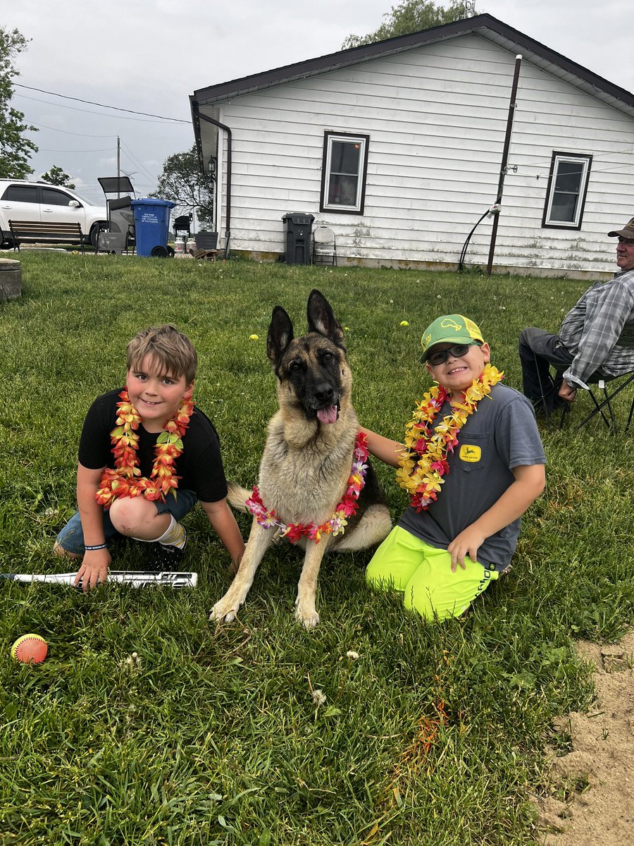 Ashley Dyce tweet media