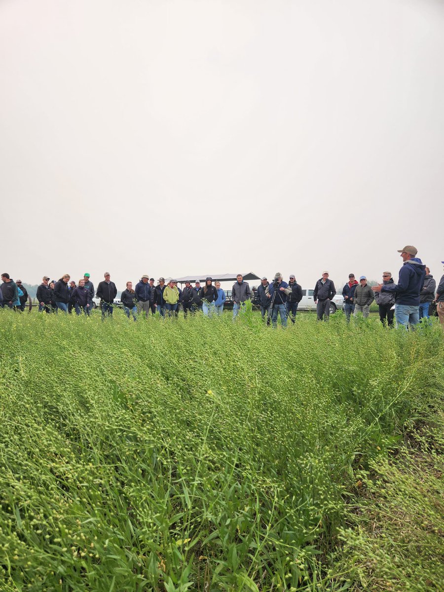 #FSFS23 wrapped up with presentations from the dynamic duo of <a href="/mikegretz/">Mike Gretz</a> &amp; <a href="/trevor_deering/">Trevor Deering</a> presenting on the novel crops camelina and rice!