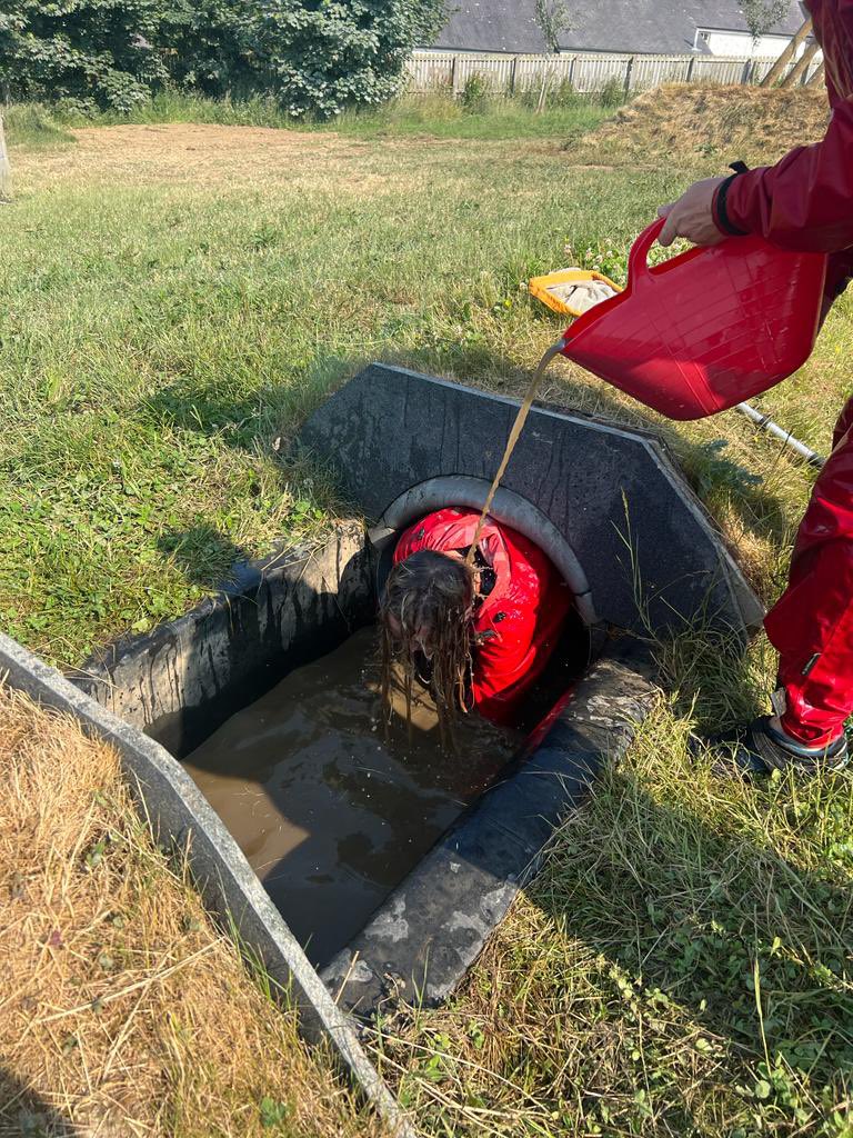 Peter Lea Primary tweet media