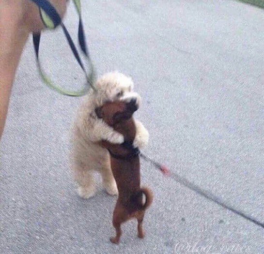 Me to all the wonderfully kind people who wished me a happy birthday today (especially you <a href="/YuriLowenthal/">Yuri Lowenthal 🇵🇸 🇺🇦 #ceasefirenow</a> 🥺💫) I had a great, relaxing day with my family, can’t ask for more than that. Now to try and secure my collector’s edition pre-order for Spooder 2. Wish me luck 🫡