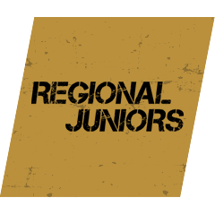 Wreckfest
Regional Juniors Champion (Silver)
Complete Regional Juniors Championship. #PS4share