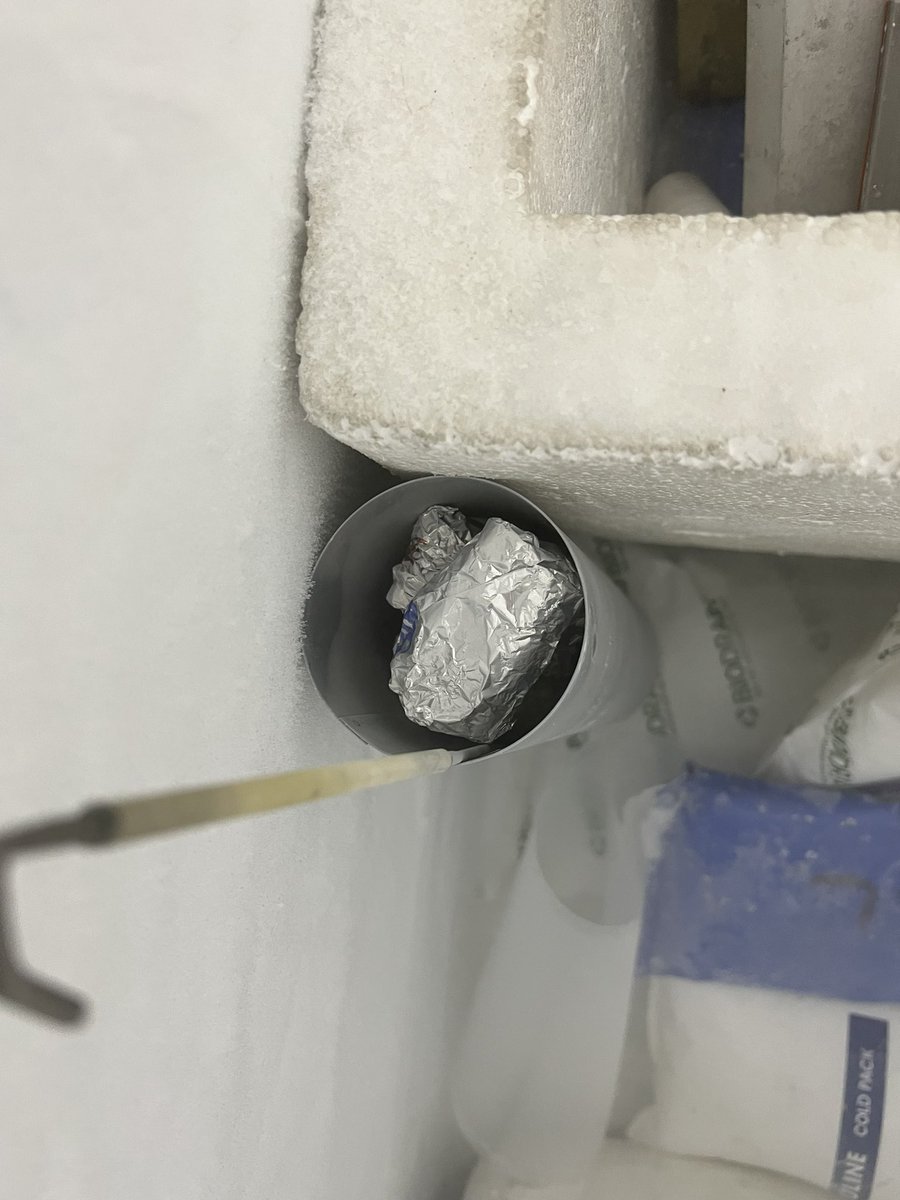 krishoudyshell's tweet photo. Safely got the Skytrain firn cores back to @LamontEarth to deform! Grateful to talk with so many incredible glaciologists @BAS_News, and appreciate all of their help and discussions! (scheming on ways to come back)🧊❄️ https://t.co/1J8WEmrTfI