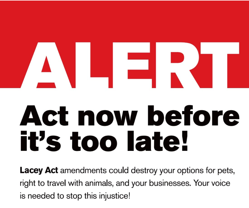 The Hobby is once again facing the Lacey Act Ammendment - mailchi.mp/7aadb16c1bb2/l…