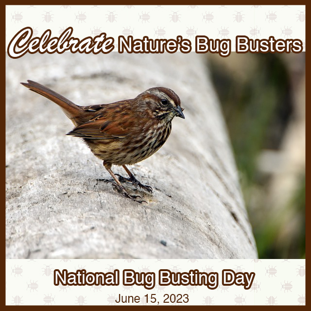 F.M. Brown's Sons, Inc. tweet media