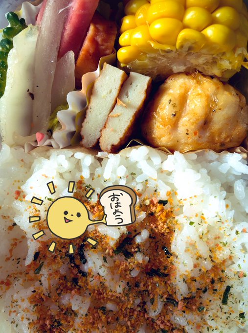 おはようございます⸜(๑⃙⃘'ᵕ'๑⃙⃘)⸝⋆︎*  ズボラ弁当 No.310