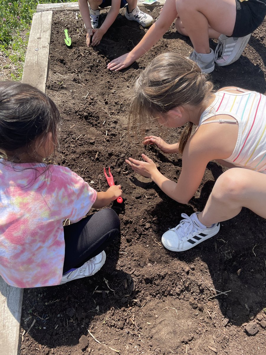 Tell me of a better Thursday afternoon… I’ll wait 😆

🪴 Gardening & nature school with our kinder partners followed by a hangout session with chicks!🐥

Thanks @agconnolly for the drop in! It turns out chicks are for any age! Gr 6 loved it!

@StBenedictOCSB 
@ocsbEco 
#ocsb