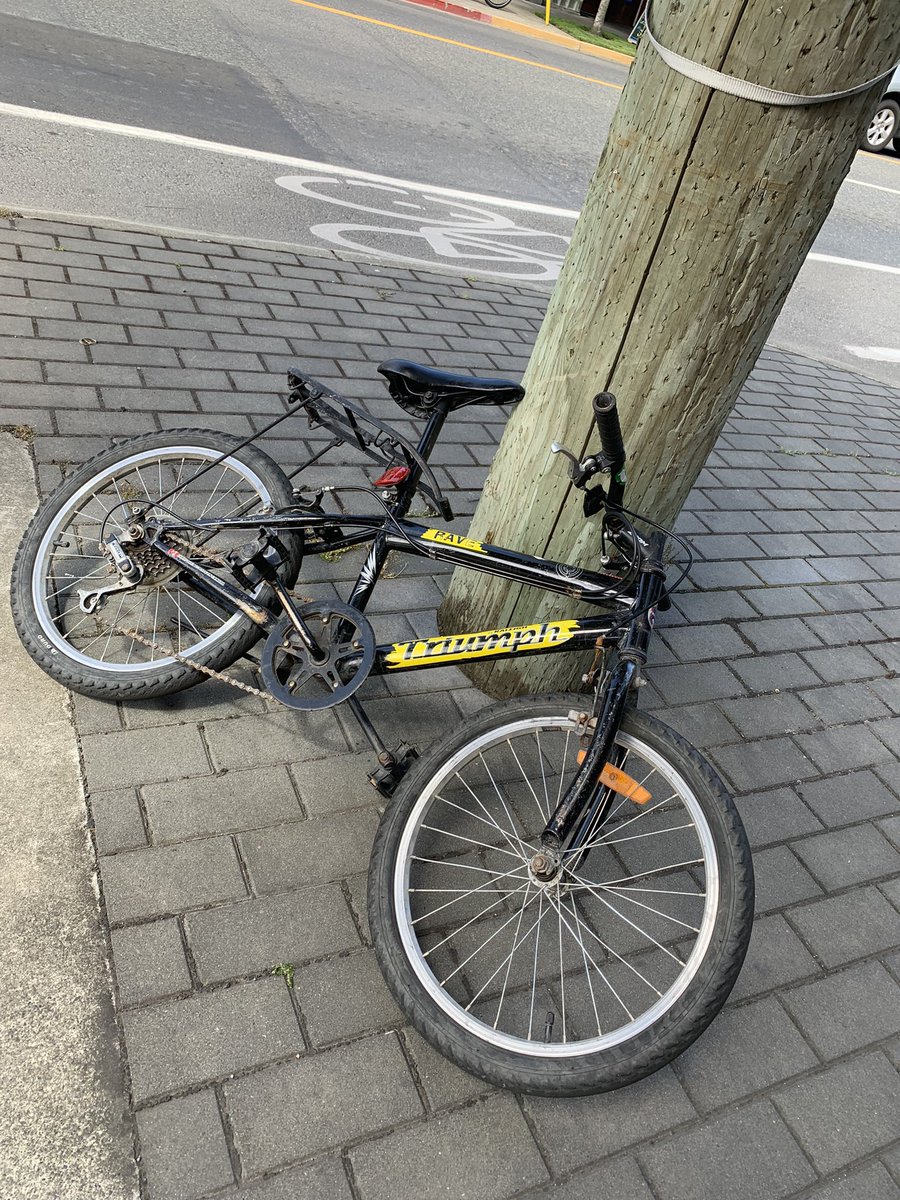 Bodacious Lifestyles tweet media