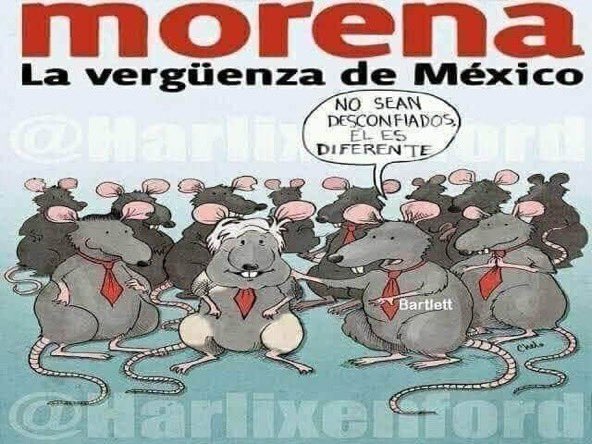 @CIRINSKY @roberta88599717 #NiUnVotoAMorena2023y2024