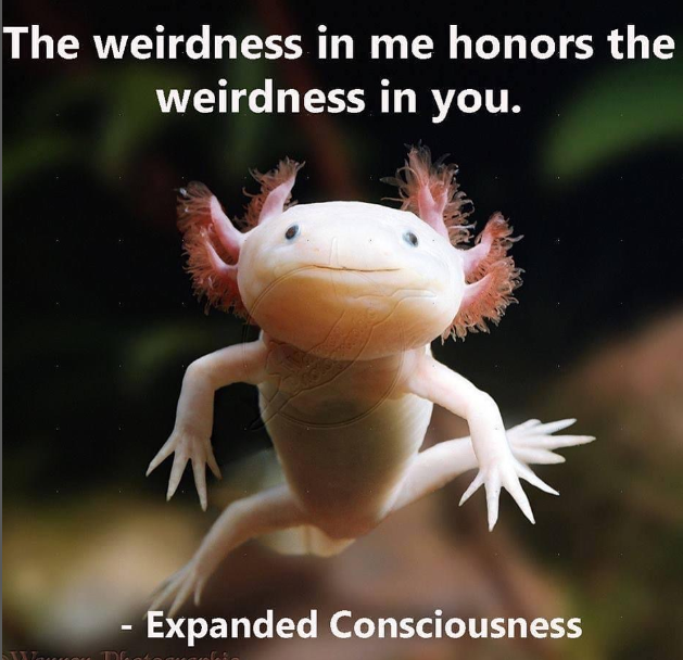 💙Zeee💜 (@satnamzeee) on Twitter photo 