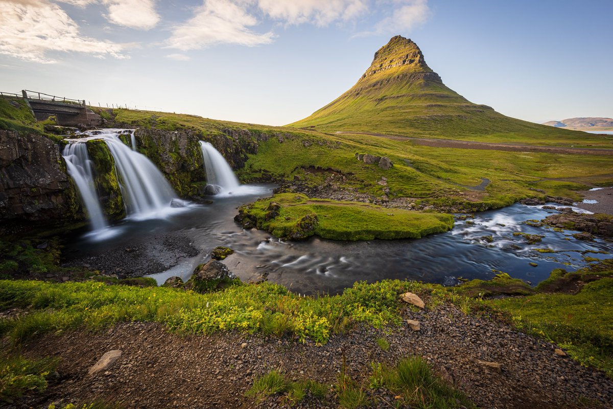 Ryan Shean tweet media