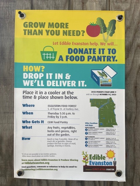 EdibleEvanston's tweet photo. Food pantry produce donations are OPEN until 3:00 pm tomorrow (Friday June 16)! Leave any produce you want to donate in bags/bunches in the cooler by the Food Forest toolshed (south of Payne St. at Hartrey Ave.). Signs and poster for collection day will be up! https://t.co/1V6bSHbanO
