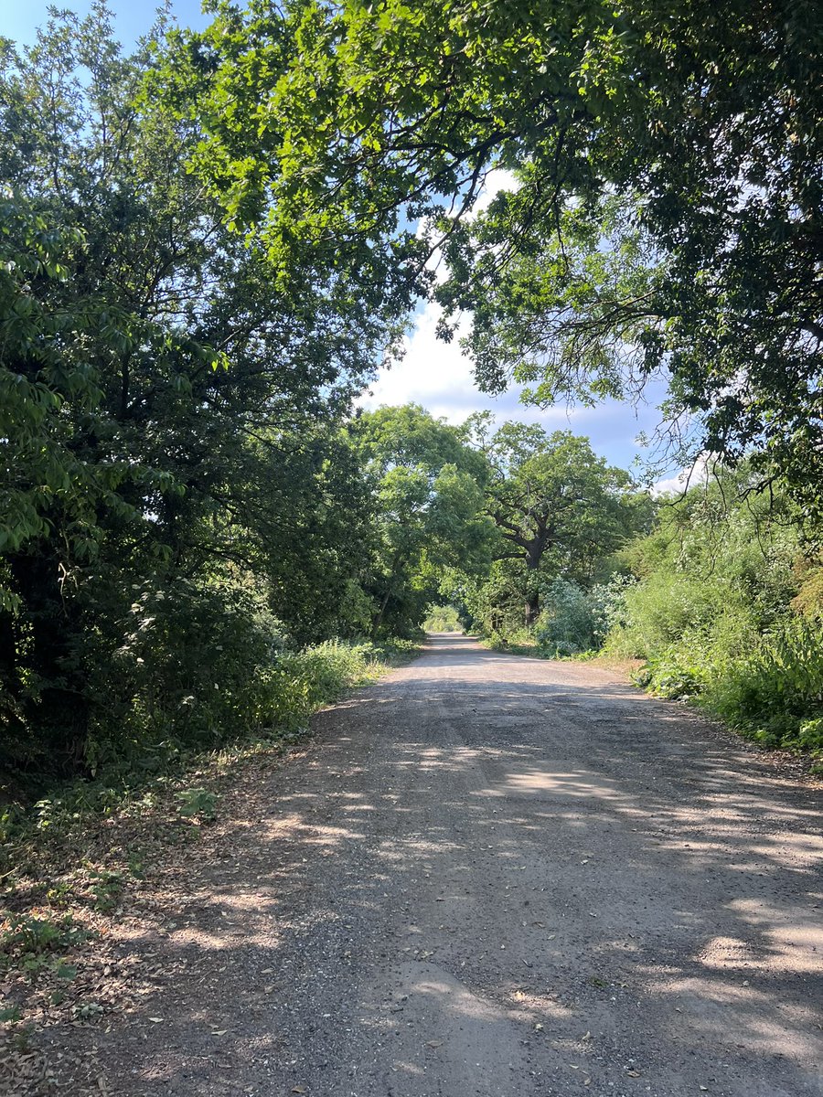alilouherts's tweet image. Got my walk in even though it was boiling!! #slimmingworld #SWMagazineMakes #slimmingworlduk #bodymagic