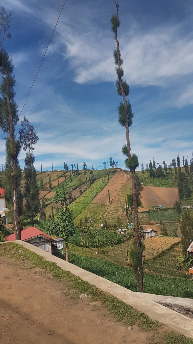 striao's tweet photo. Ceritanya ngikuti google maps. Dari Madyopuro, Kedungkandang, Malang ke Jember. https://t.co/x5a6JzvyWN