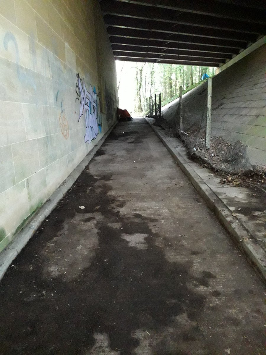 WCFC_Photos's tweet photo. A BIG "Thank You" to our volunteers at @WorcesterCityFc for their efforts in the clean up. You've made the difference. 💙🤍 https://t.co/1jhRods11X