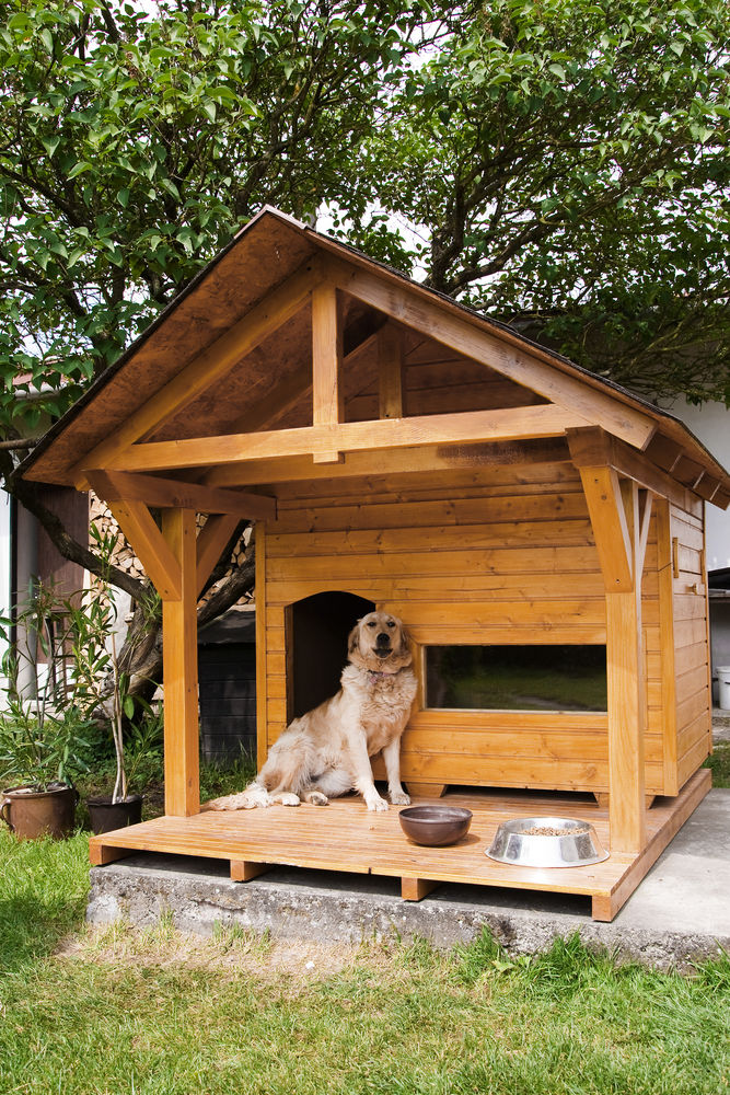 Listingqueen422's tweet photo. That is one huge dog house! The homeowners might want to measure that square footage and call it a guest house.

Susan Jenner https://t.co/FCGtOTSXPJ https://t.co/WG9tK44Knk