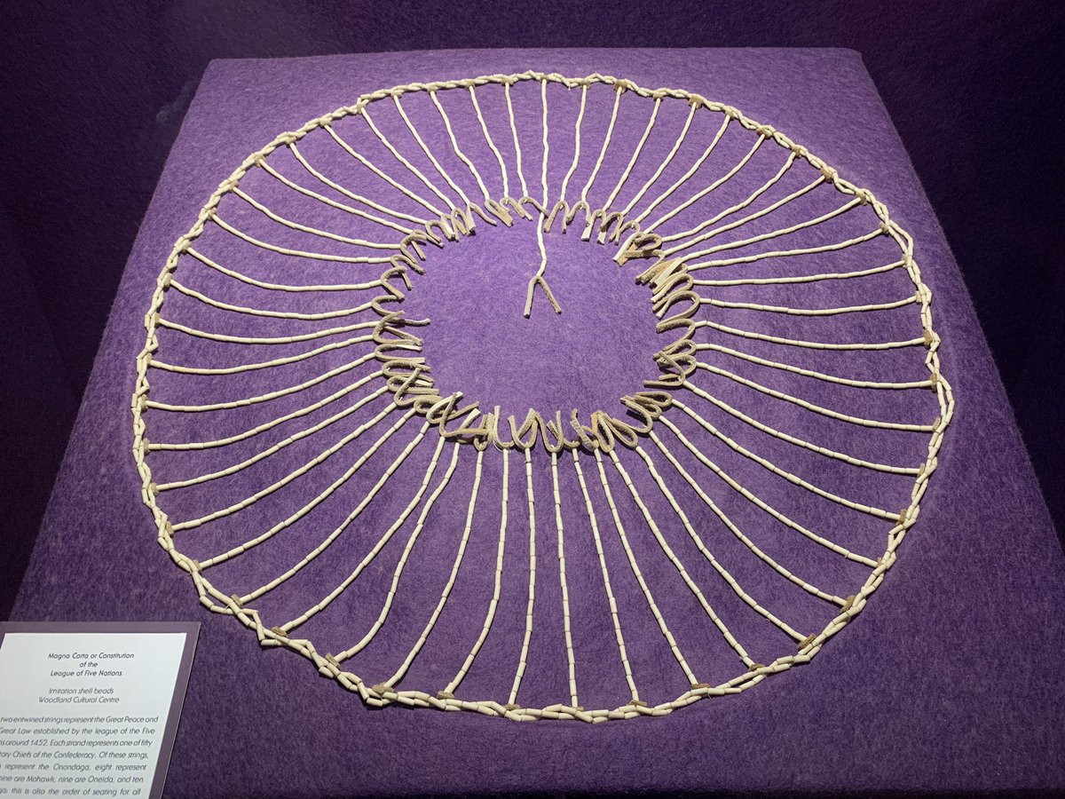 Elise Davidson tweet media