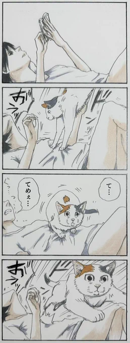 『特選拾い猫のモチャ』10