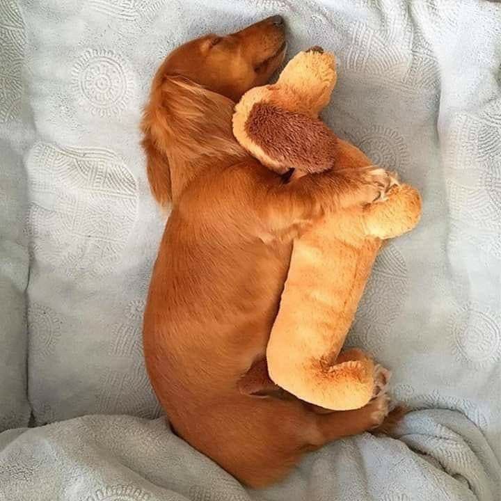 twaniimals's tweet photo. https://t.co/MuXdQkQ7fX