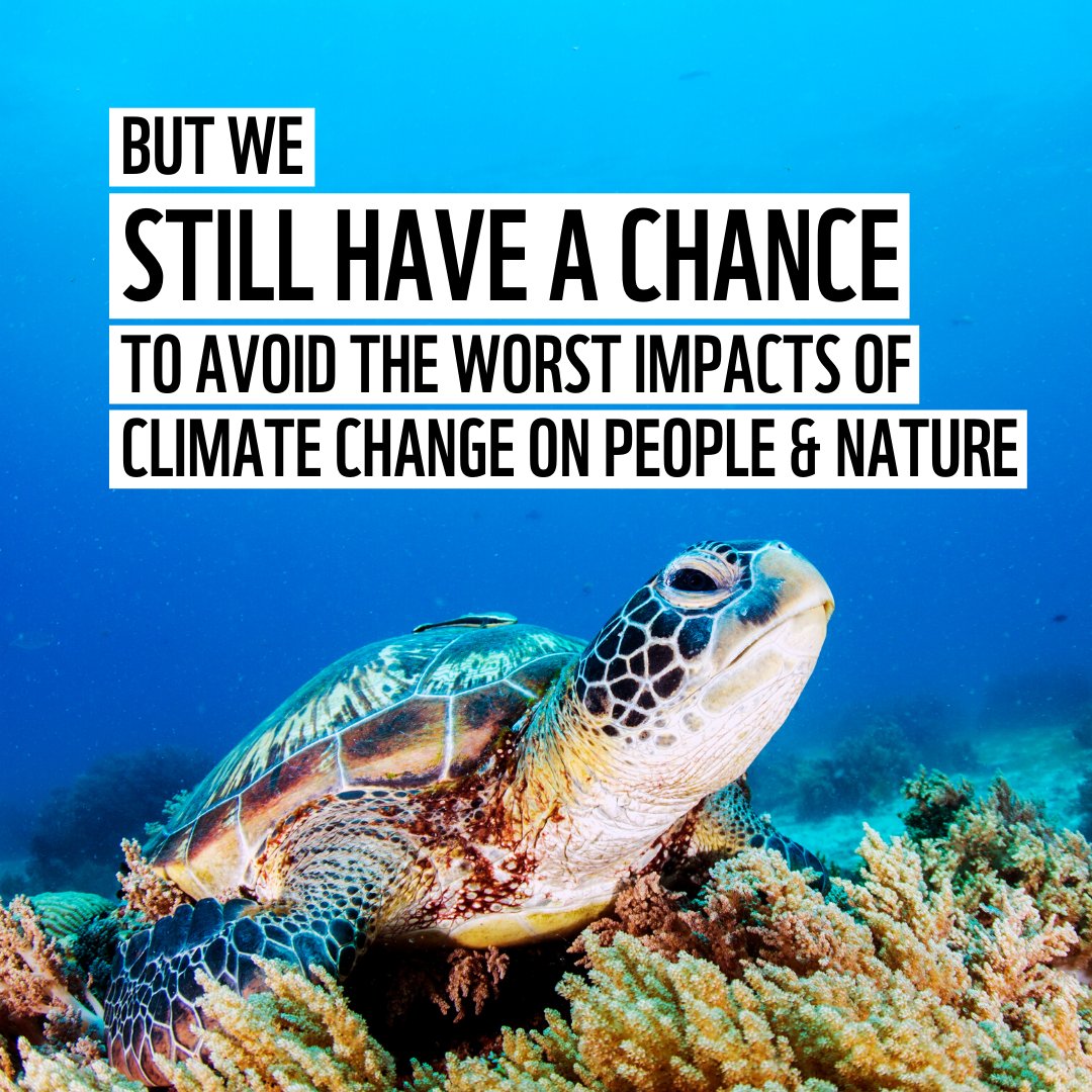 EarthHour_AU tweet media