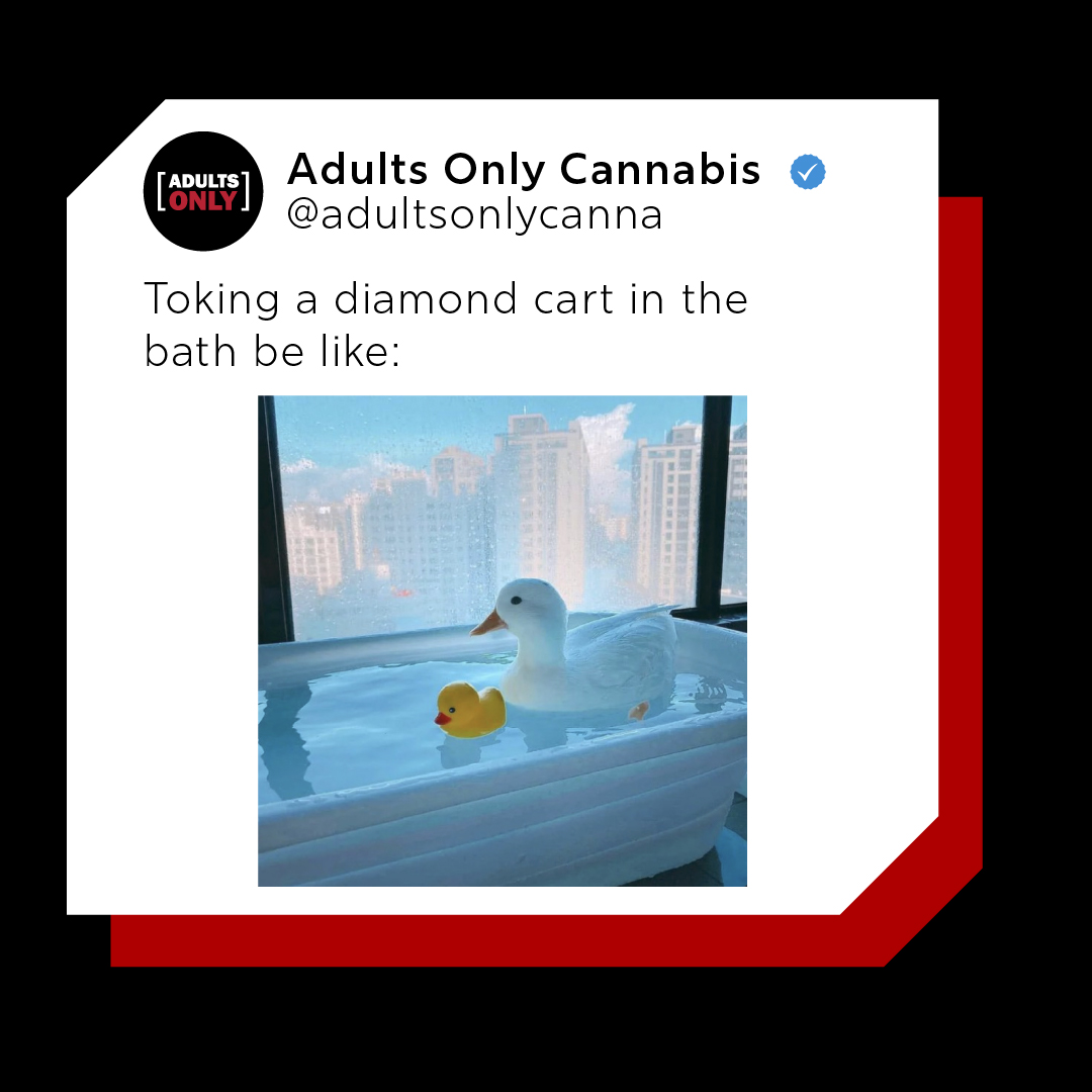 *quack*