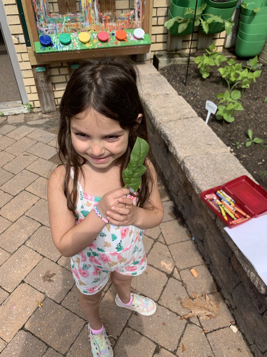 Jayne Ramirez tweet media