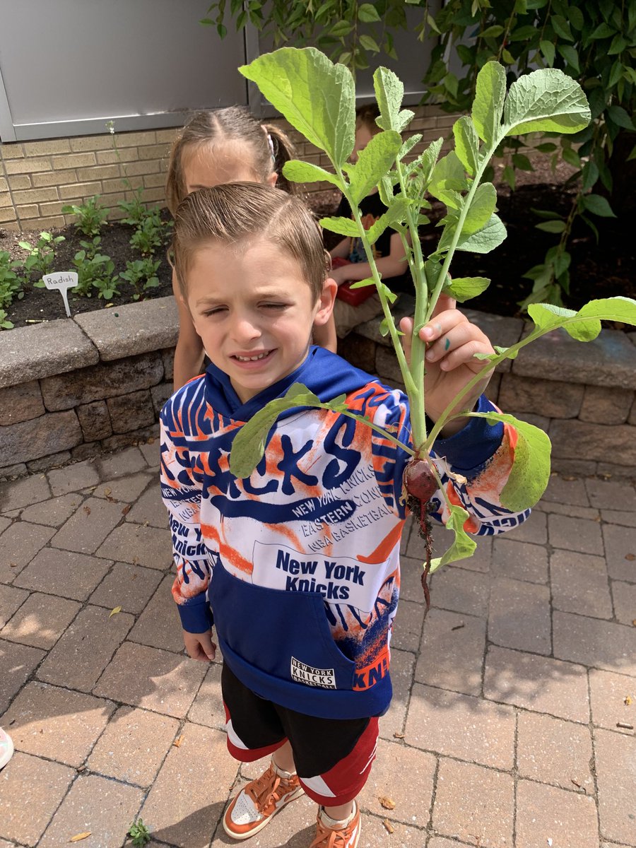 Jayne Ramirez tweet media