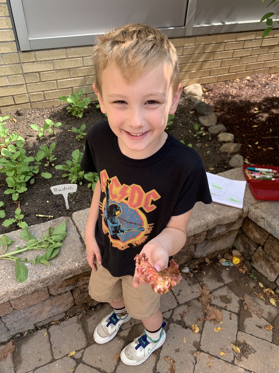 Jayne Ramirez tweet media