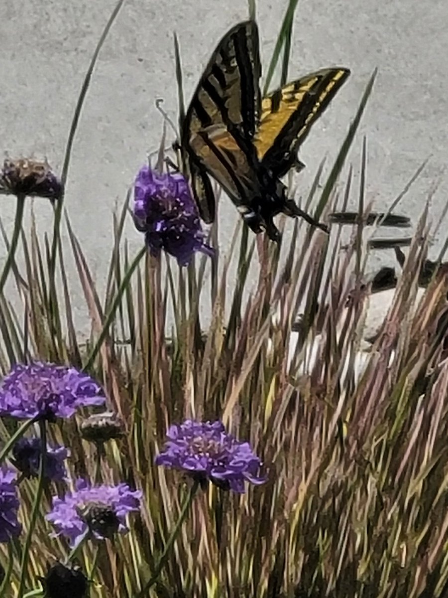 Rachmtbs (@rachmtbs) on Twitter photo 