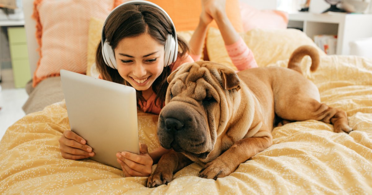 IconSchool's tweet image. Did you know that understanding your #LearningStyle can greatly impact your success in #OnlineLearning?

Check out our full blog post here &amp;gt;&amp;gt;bit.ly/3PAnABl