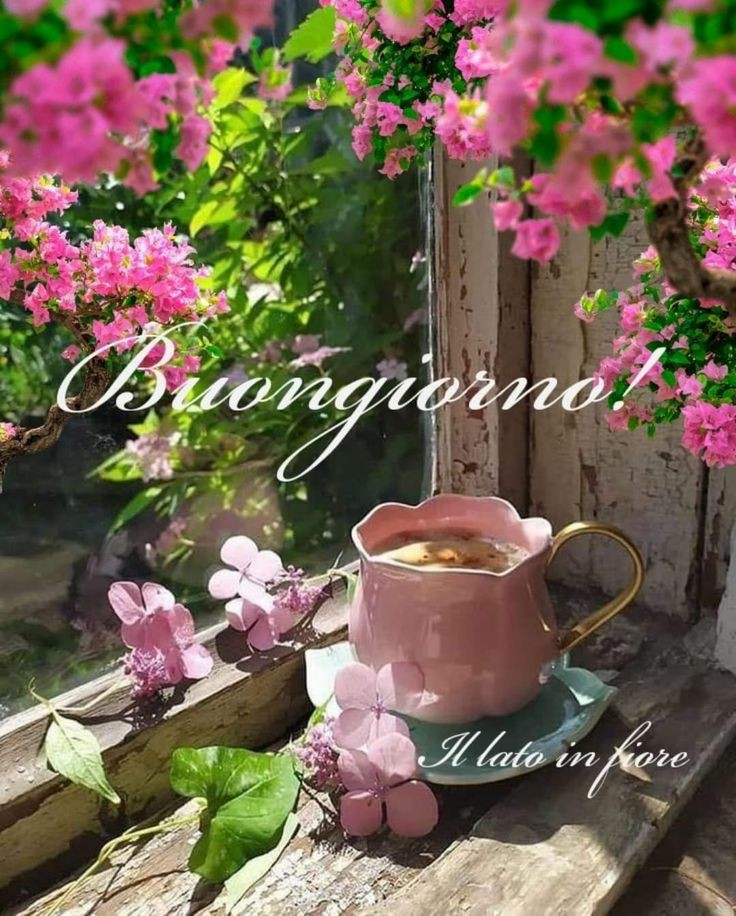 #16giugno Buona giornata ☕🌞🌸