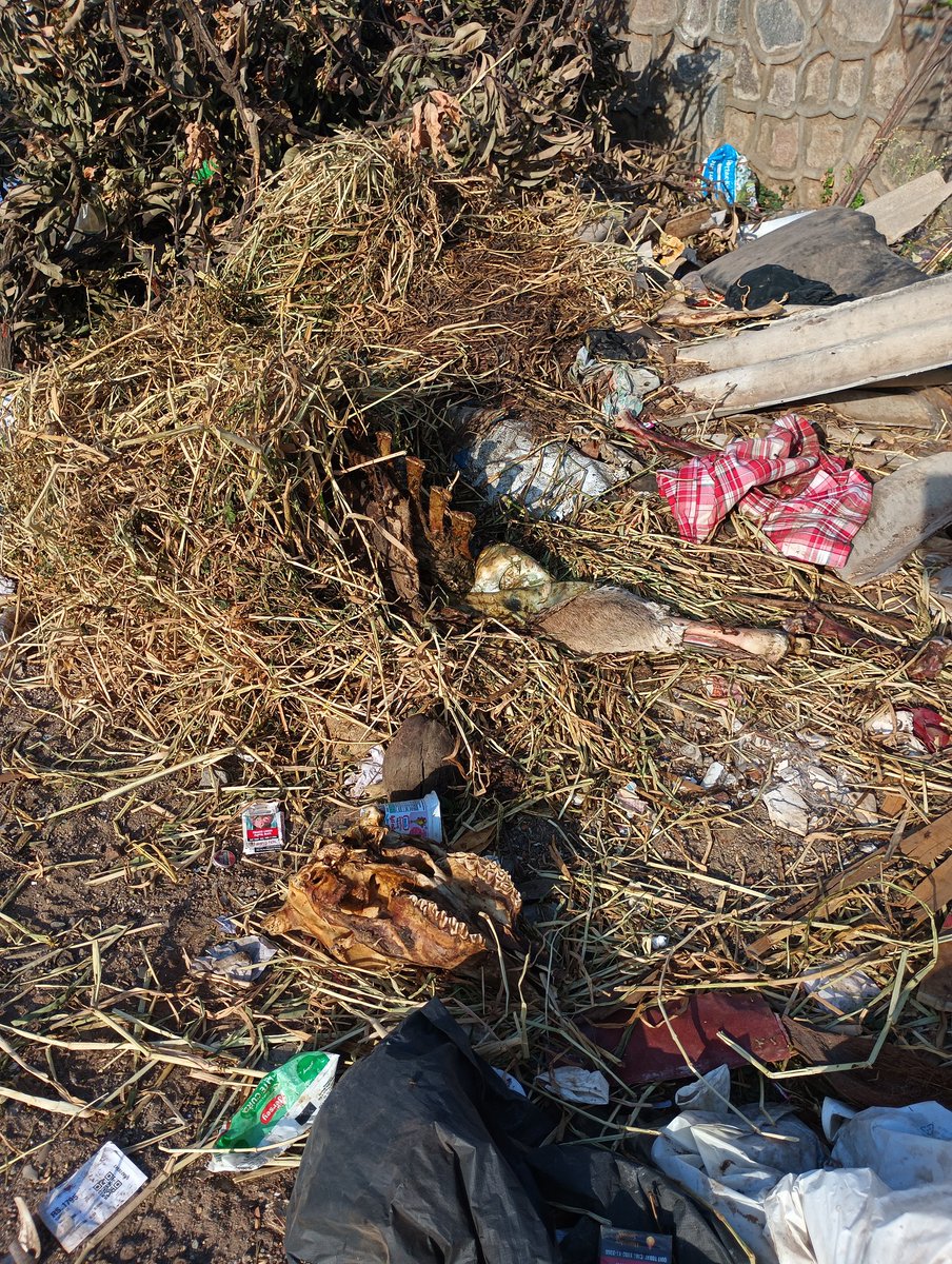 Dha3R NGO tweet media